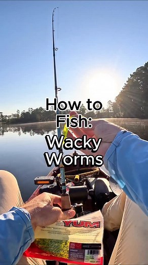 5.4K views · 448 reactions | How to fish a wacky worm for bass. Wacky worms are one of the most effective ways to target bass but knowing little tips like best retrieve speeds and bait colors can make all the difference. #fishing #fishingtips #wackyworm #howto | Juran Adventures | Facebook