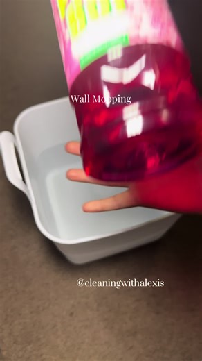 Wall Mopping Tips with Ashlyn T. for a Clean Home