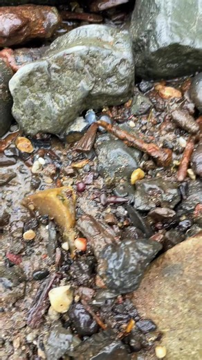 Uncovering a Beautiful Uncut Garnet on the Thames