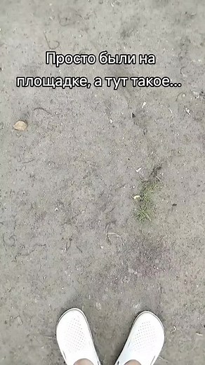 Exploring a Unique Camouflage ATV Design