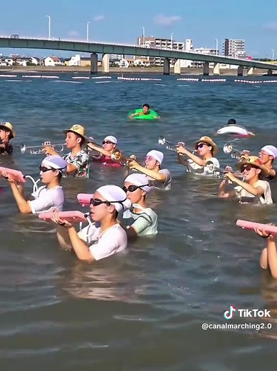 TOHO Marching Band: A Celebration of Music and Performance