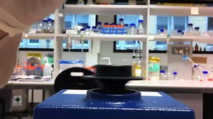 Researchers discover simple coating technique using tannic acid and iron