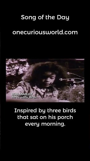 Song of the Day, Three Little Birds — Bob Marley & The Wailers