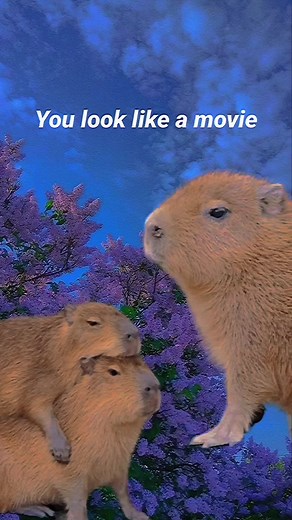 Adele - When We Were Young Lyrics Video