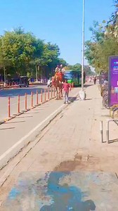 5K views · 45 reactions | Camel  ride #new #mirstars | MIR STARS | Facebook