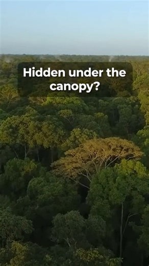 Hidden under the jungle canopy — satellites and LIDAR revealed a lost Maya city. LModern remote‑sensing tools like satellite imagery and LIDAR are transforming archaeology. In 2011 teams revealed plazas, causeways and structures once concealed by dense canopy — proof that technology can rewrite what we know about ancient landscapes. Watch the Reel to see the reveal. #LIDAR #MayaDiscovery #RemoteSensing #Archaeology #LostCities | Desafio Curioso