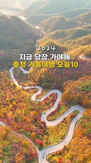 지금 가야하는 충청 단풍여행지 같이 가고 싶은곳 친구 태그해 번호 불러요 모두 2024촬영분입니다 고민은 예쁜 단풍을 놓칠 기회만 놓칠뿐 떠나세요 충청으로 충청 전문가가 추천하는 충천 단풍 여행지 1️⃣ 보은 #말티재 📍충북 보은군 장안면 장재리 산4-14 무료 전망대에서 굽이굽이 단풍길 내려보기 일몰이 아름다운곳 2️⃣대전 #상소동산림욕장 📍대전 동구 산내로 714 앙코르와트 돌탑과 단풍 메타세콰이어가 아름다운 메타는 주황빛으로 단풍은 60프로 이상 물들어 딱 보기 좋은 무료 3️⃣공주 #마곡사 📍충남 공주시 마곡사로 966 주차료 4000원(식당가 주차시 무료) 명부전 앞 애기단풍이 예쁜곳으로 명부전 앞은 아직 초록이 더 많지만 담장쪽은 알록달록 현재 곳곳에 유적지 발굴 조사로 공사중 4️⃣공주 송곡지/엔학고레 📍충남 공주시 반포면 불장골길 113-12 엔학고레 저수지 반영과 물안개 메타 단풍이 아름다운 곳 카페도 함께 있어 커피 한잔하기 좋은곳 5️⃣아산 곡교천 📍충남