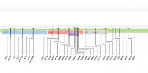 Why Omicron quickly became a variant of concern