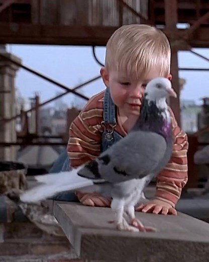 Baby Bink's Roof-Top Drool