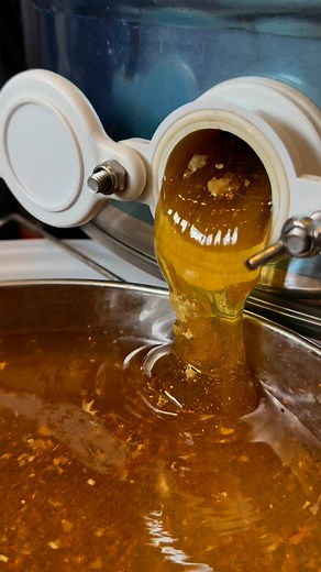 Honey after the extraction in the spinner 🍯😍 | Stanley’s bees