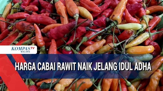 Jelang Idul Adha, Harga Cabai Merangkak Naik