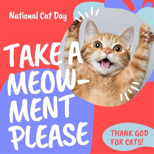 For Today's National Cat Day, we pray: "O Lord, we thank you for all your creatures, especially the cats that bring so much love, comfort, and entertainment to our lives. We pray for all cats, both those who are loved as pets and those who are in need. Please bless them with good health, a safe and warm home, and enough food to eat. Protect them from all danger and harm. We also ask you to bless and guide all those who care for cats, from veterinarians to rescue shelters, that they may be suppli