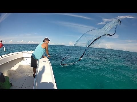 Taped Cast Net vs. Non-Taped Cast Net for Shrimping