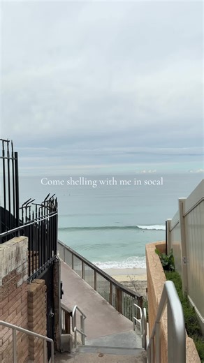 Perfect rainy day activity 🐚🌊 #beach #shell #trending #fyp #socal | socal