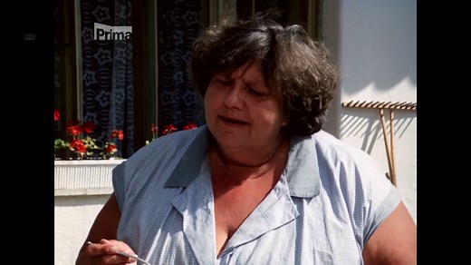 Nap, széna és pár pofon 1989 1080p