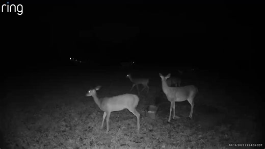 Wayne Perry on Reels | Facebook