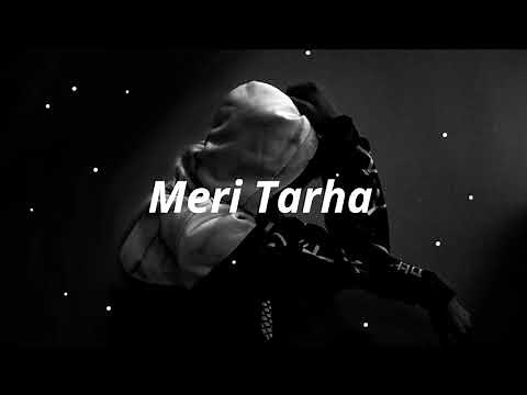 Akhil Redhu - Meri Tarha (Lyrics)