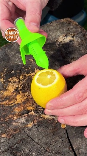 This Lemon Gadget Feels Like MAGIC! 🍋🤯💦