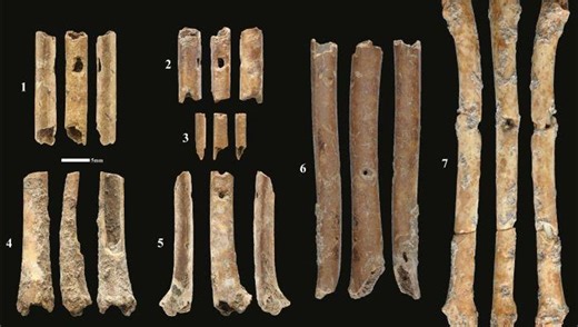 12,000-Year-Old Bone Flutes Discovered Sound Amazingly Like Birds Of Prey