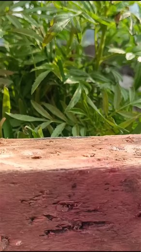 DP TIPS on Instagram: "Tips and tricks #tips #usa #hacks #tools"