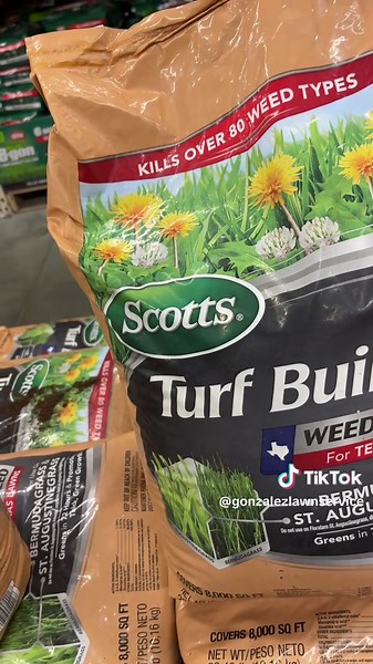 Effective Ways to Remove Dandelions from Your Lawn