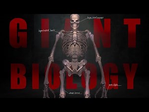 The Biology of Giants Explained | The Science of Giants