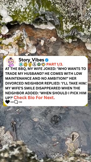 At the BBQ,My wife joked. Who wants to trade my husband? He comes with low maintenance and no ambition. Her divorced neighbor replied, I'll take him. My wife's smile disappeared when the neighbor added. -#reels #askreddit #Anonymous #redditstorytime #redditposts #reddit | Horror-Stories