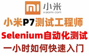 小米P7大佬分享，带你7天0基础到精通Selenium自动化测试，学完就拿offer了！