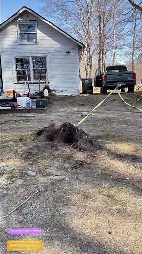 Truck Pulls Tree Stump: How Physics Meets Yard Work