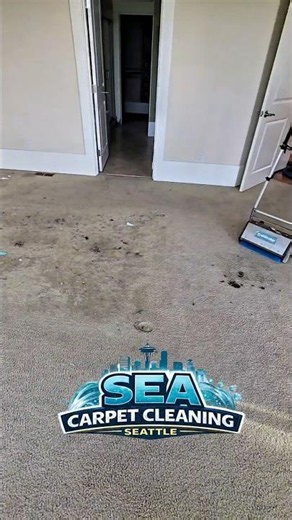 Unbelievable Pet Carpet Transformation! 😱✨