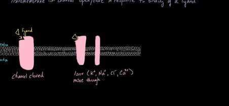 Ligand Gated Ion Channels