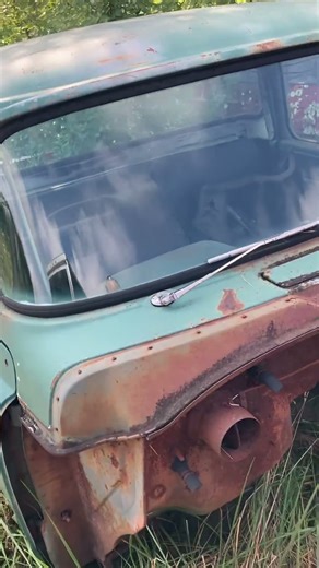 1959 dodge pickup project
