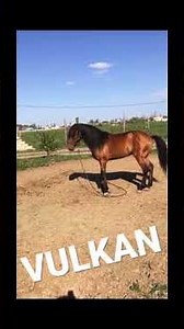 VULKAN