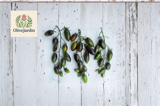 10 Brad’s Atomic Grape Tomato Seeds – Rare Heirloom Variety – Multicolor Cherry Type - Etsy