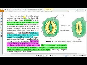 Life Processes | Class 10 Science, Ch-6, Part-3