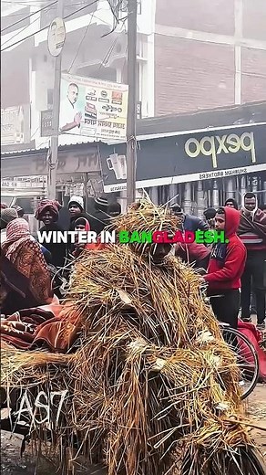 Winter in Bangladesh...🇧🇩🥶#vairal #bangladesh #fypシ゚viral #trend
