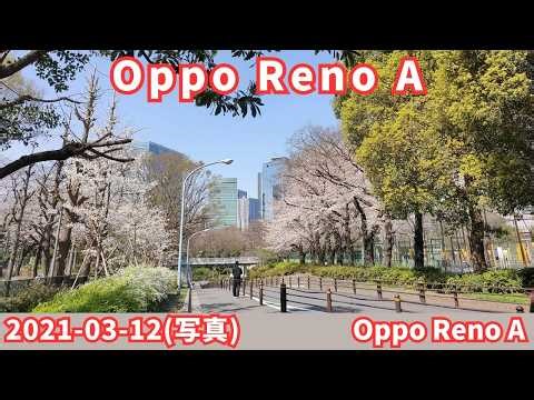 写真 Oppo Reno A 2021-03-12 (Oppo Reno A で撮影)