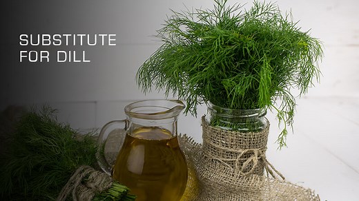 5 Best Substitutes for Dill in Your Recipes (Updated 2025)
