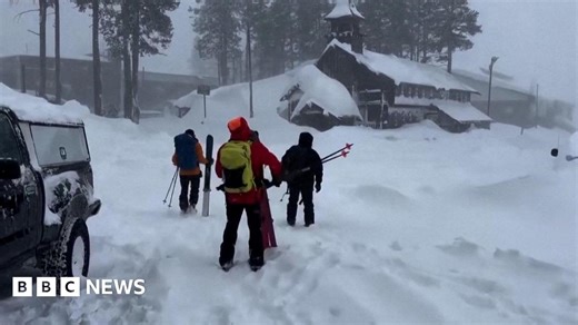 California avalanche: Eight skiers found dead with one still missing, sheriff confirms