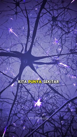 Banyak mana sih antara Bakteri dan Sel di tubuh kita⁉️ 😱