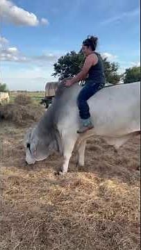 The Most Fearless Woman Riding Bulls