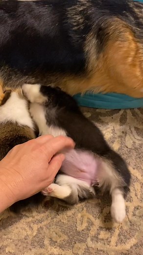 Heather Schoch on Reels