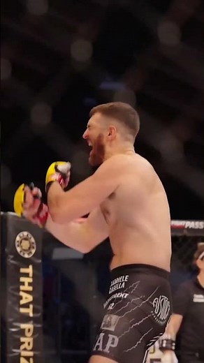 Gabriele Casella - KO (Right Hand + Ground & Pound)