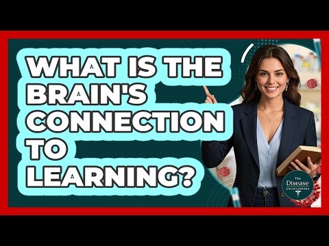 What Is The Brain's Connection To Learning?