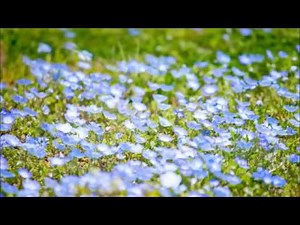 嵐 『Love Rainbow』