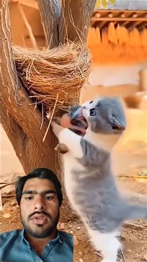 Masha Allah this video #islamicshorts #duet #duet #allahuakbar #quran #islamicgreeting #allah