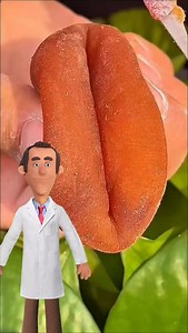 929K views · 18K reactions | Pappaye leaf pack.#kerala #malayalam #trending #funny #doctor #healthfood #health #women | Drtangu | Facebook