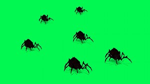 Animation Of Spiders On Green Screen Creepy Stock Motion Graphics SBV-338121240 - Storyblocks