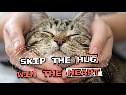 Skip the Hug, Win the Heart: The Quiet Ways Cats Show Affection | CATZILLA ACADEMY