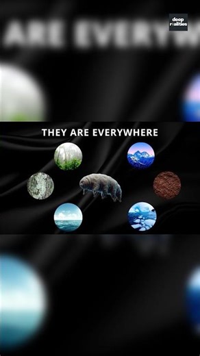 Part 3 Tardigrades: How Life Survives Against All Odds